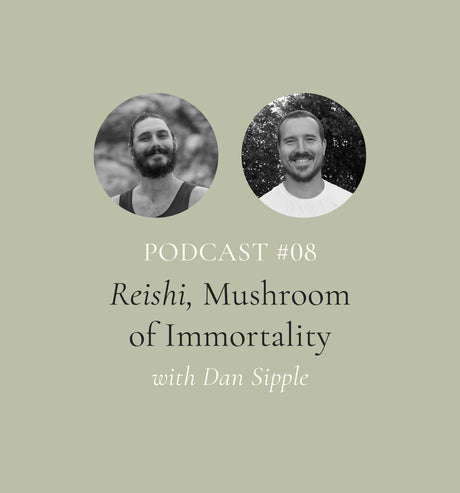 Reishi, Mushroom of Immortality Dan Sipple (EP#8)