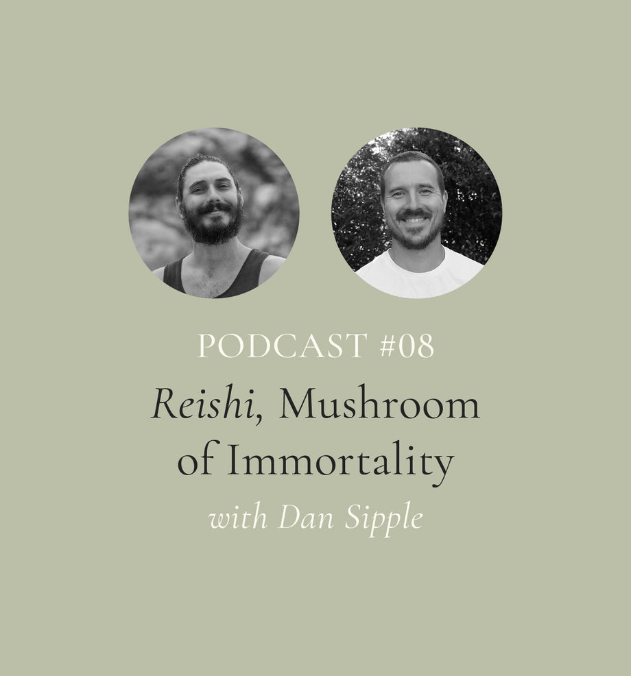 Reishi, Mushroom of Immortality Dan Sipple (EP#8)