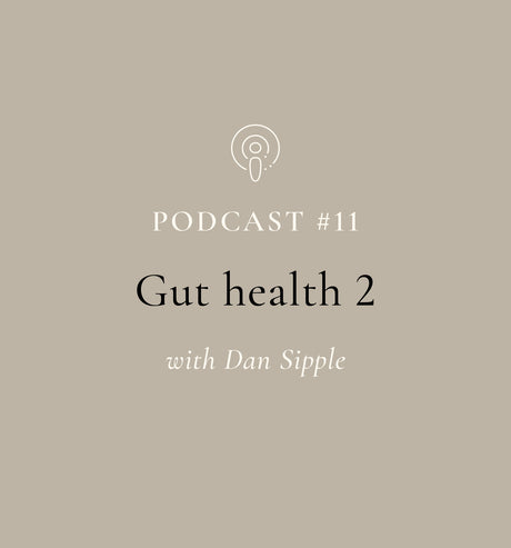 Gut Health - Part 2 with Dan Sipple (EP#11)
