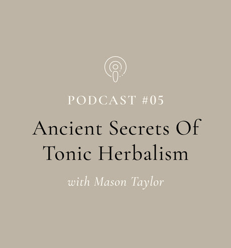 Ancient Secrets of Tonic Herbalism (EP#05) | Di Dao | Chinese Medicine