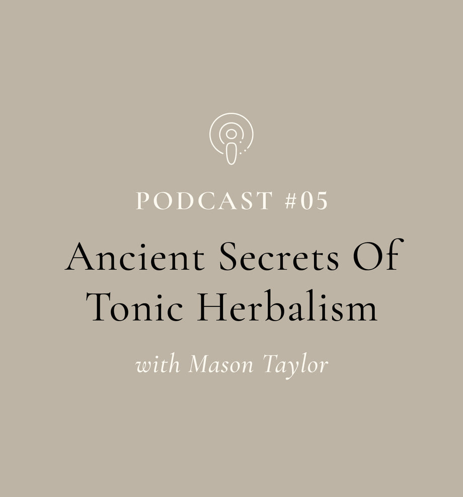Ancient Secrets of Tonic Herbalism (EP#05) | Di Dao | Chinese Medicine