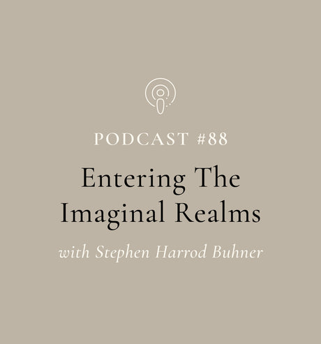 SuperFeast Podcast #88 with Stephen Harrod Bhuner