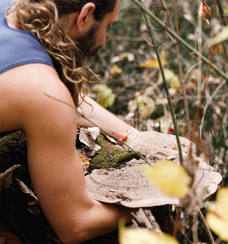 Why We Don't Test Our Herbs For Active Constituents | SuperFeast USA