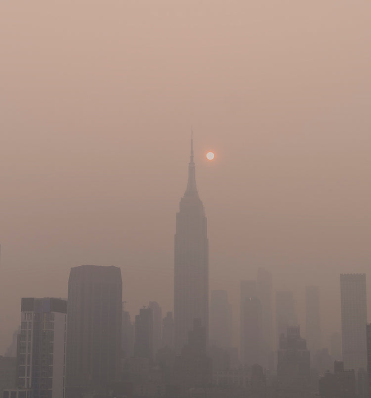 Tonic Herbs, Lung Health & Poor Air Quality