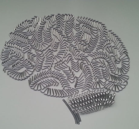 Do you have a leaky brain? - SuperFeast USA