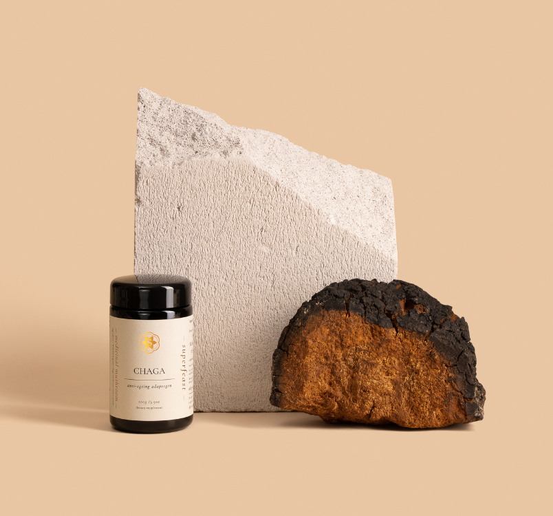 Why Chaga Mushroom Is Always In My Top 3 + A Bonus Recipe