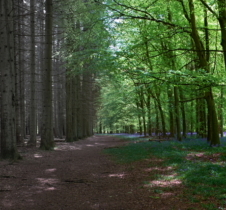 The MUST DOs at the change of Season