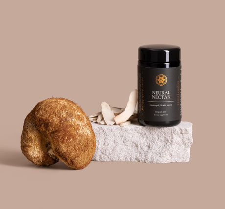 Nootropics - What Are They?