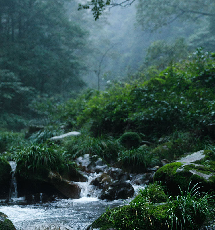 Dì Dào (地道); Why The Water We Use Is Consciously Chosen - SuperFeast