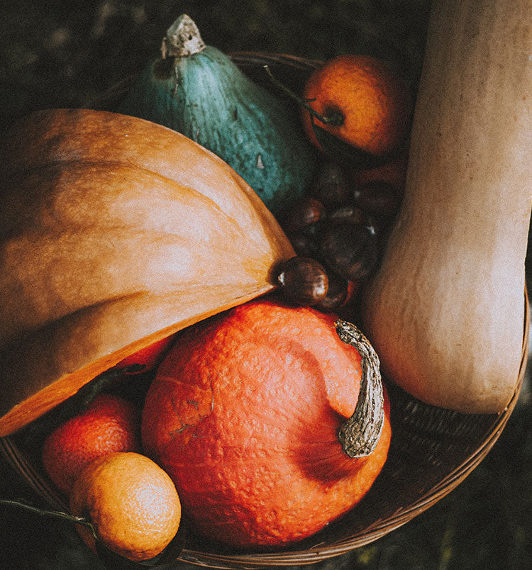 Foods & Eating Habits To Nourish Yourself During Fall