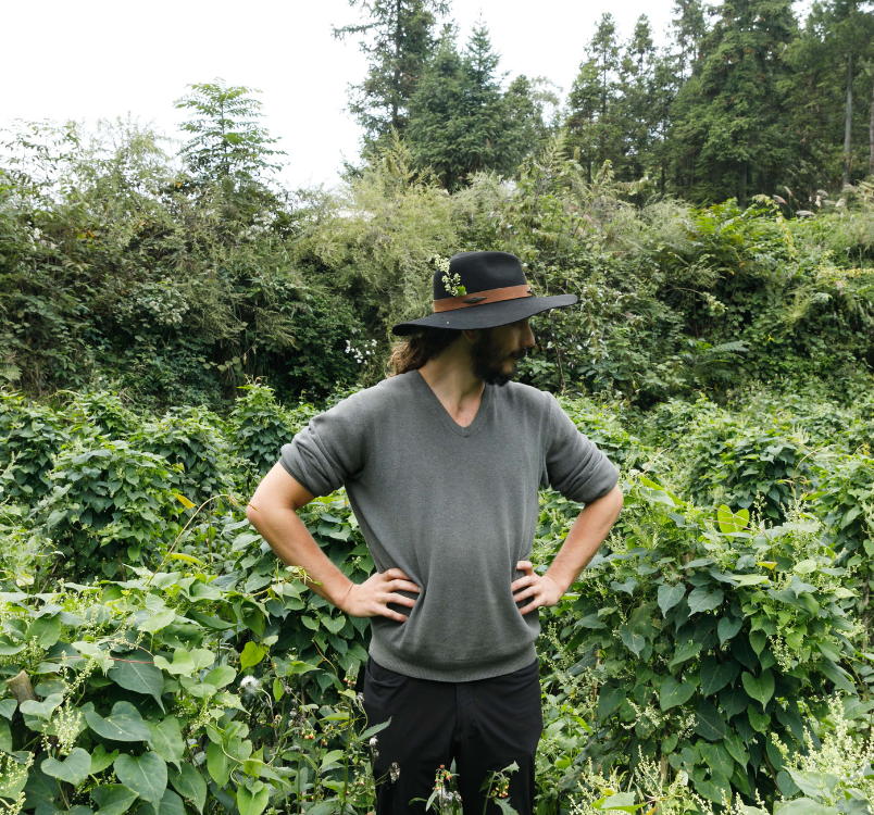 SuperFeast | He Shou Wu: Di Dao Sourcing Practices