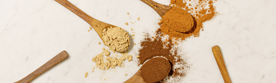 Part 4: The Sun Will Rise