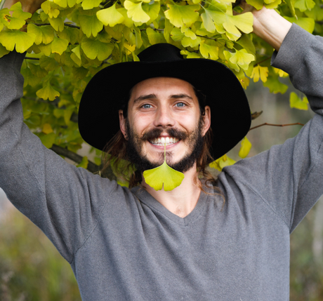 Mason on Tonic Herbs