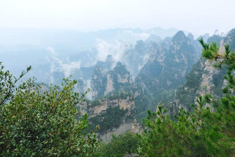 Di Dao Sourcing