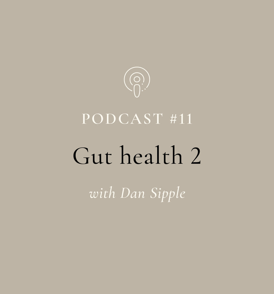 Gut Health - Part 2 with Dan Sipple (EP#11)
