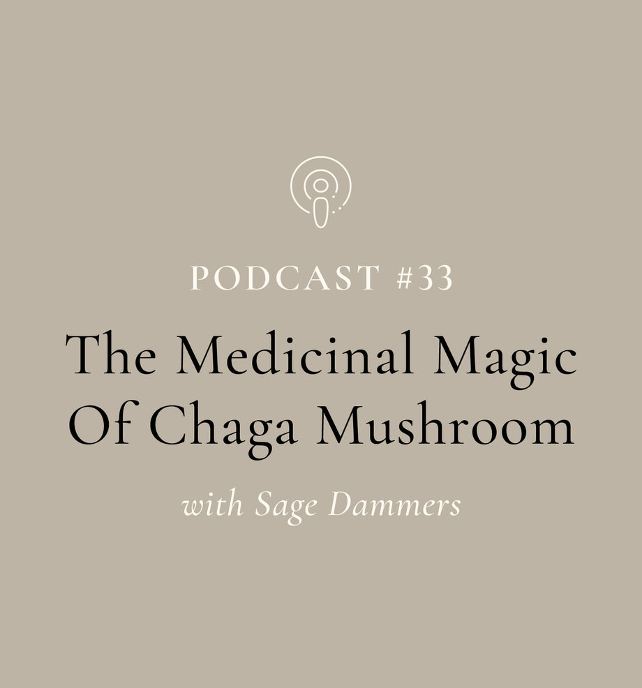 SuperFeast | Podcast | The Potent Medicinal Magic Of Chaga with Mason Taylor and Sage Dammers (Episode #33)