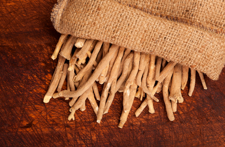 Ashwagandha Leaves Banned - Why Our Root Extract is Unaffected