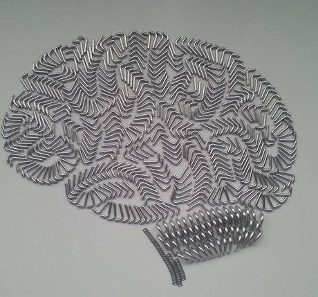 Brain Health & Neuroprotective Tips You Need To Know About - SuperFeast USa
