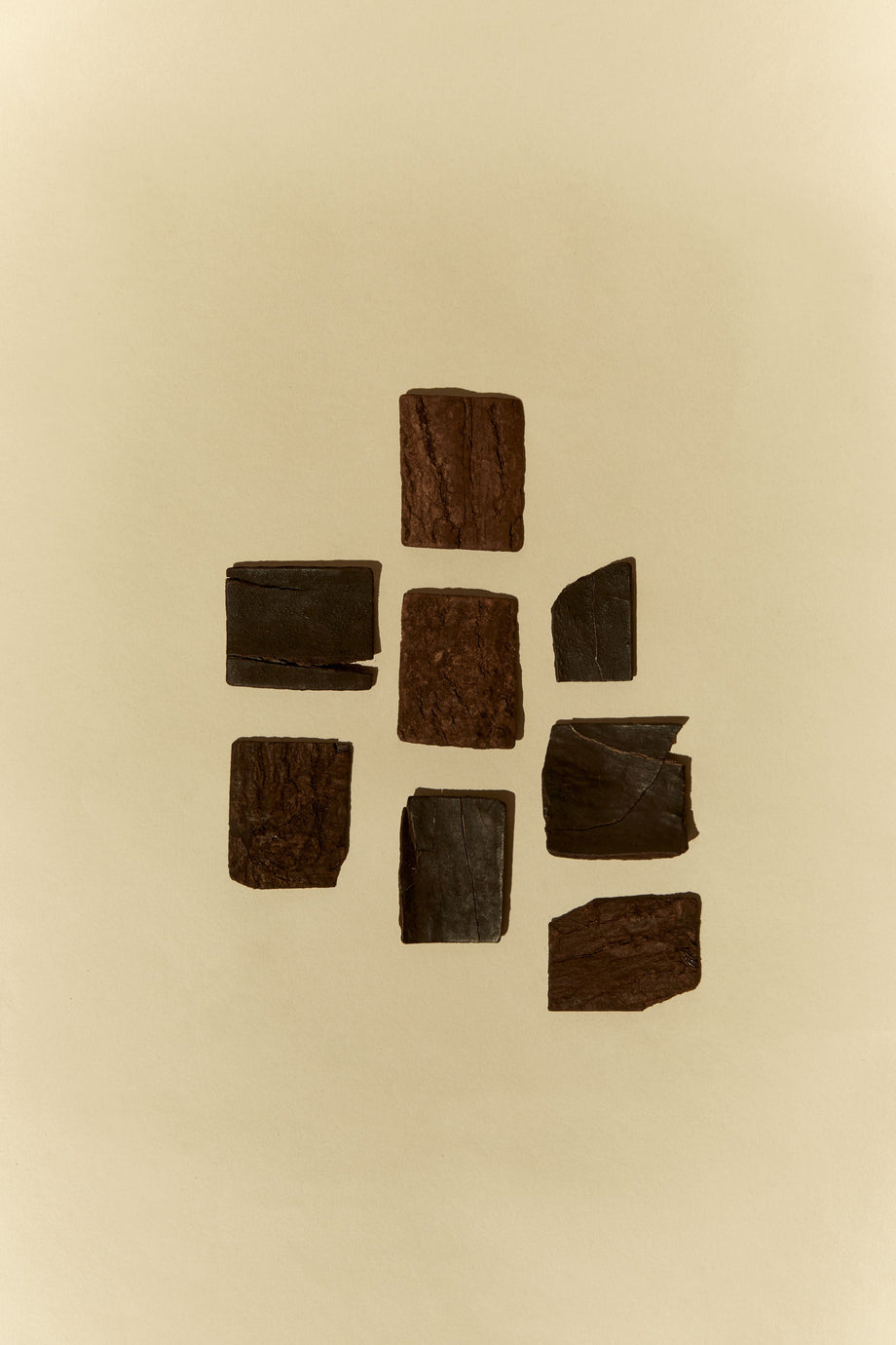 My Plant Ally - Eucommia Bark (Du Zhong)