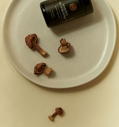 Why Mason’s Mushrooms Can Improve Your Gut Health