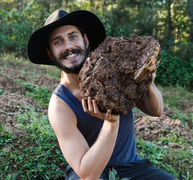 SuperFeast | Poria Medicinal Mushroom - See Mason Harvesting A Fresh One in China!