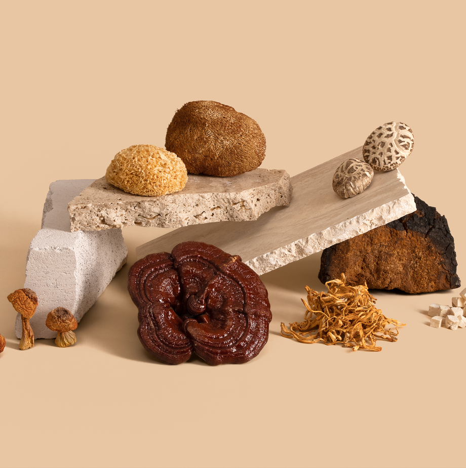 How Medicinal Mushrooms Support the Immune System Differently to Other Supplements