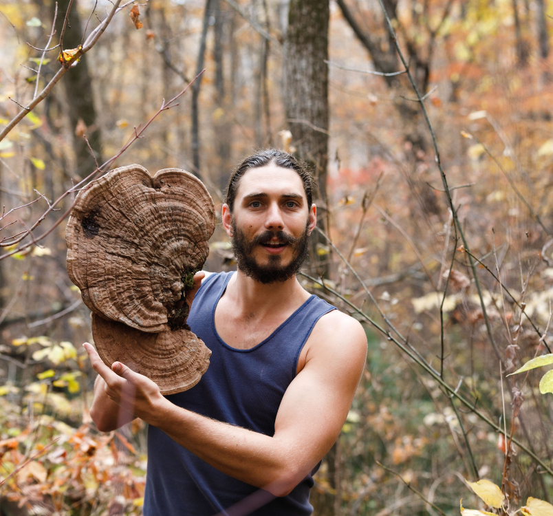 Chaga Mushroom - The Incredible Health Benefits - SuperFeast USA