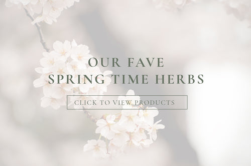 The Spring Collection