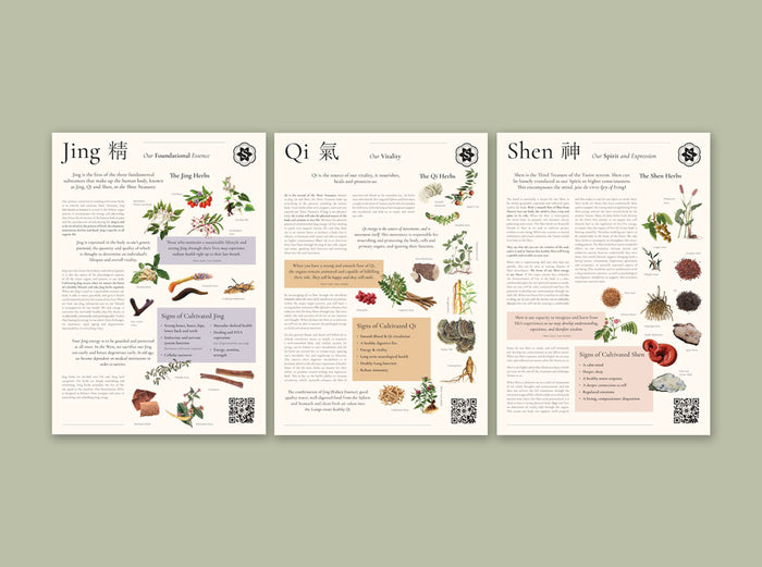 A3 Printable Posters | Jing, Qi, Shen