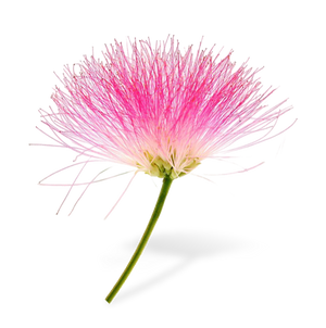 Ingredient Image